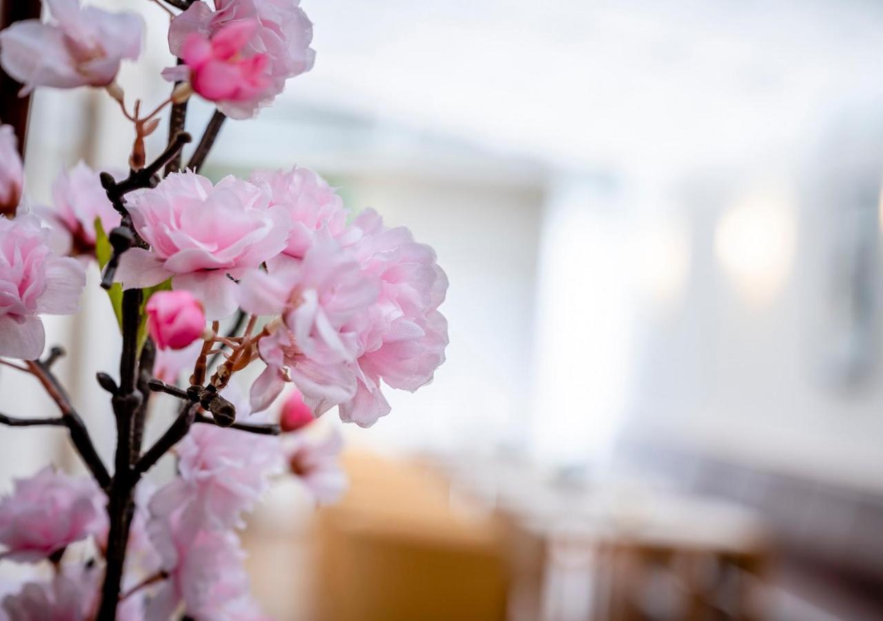 Boutique Hotel Hauser เวลส์ ภายนอก รูปภาพ